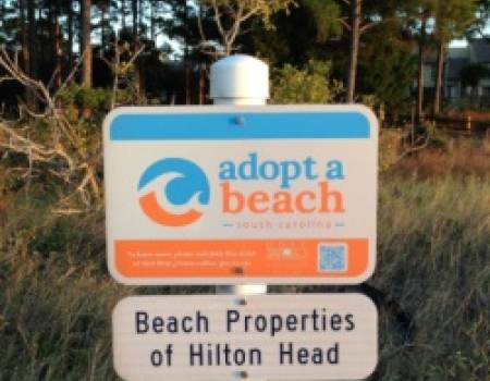 adopt a beach